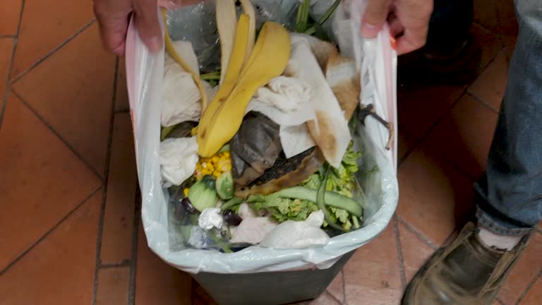 Best Dumpster Rental Services  in Theodore, AL